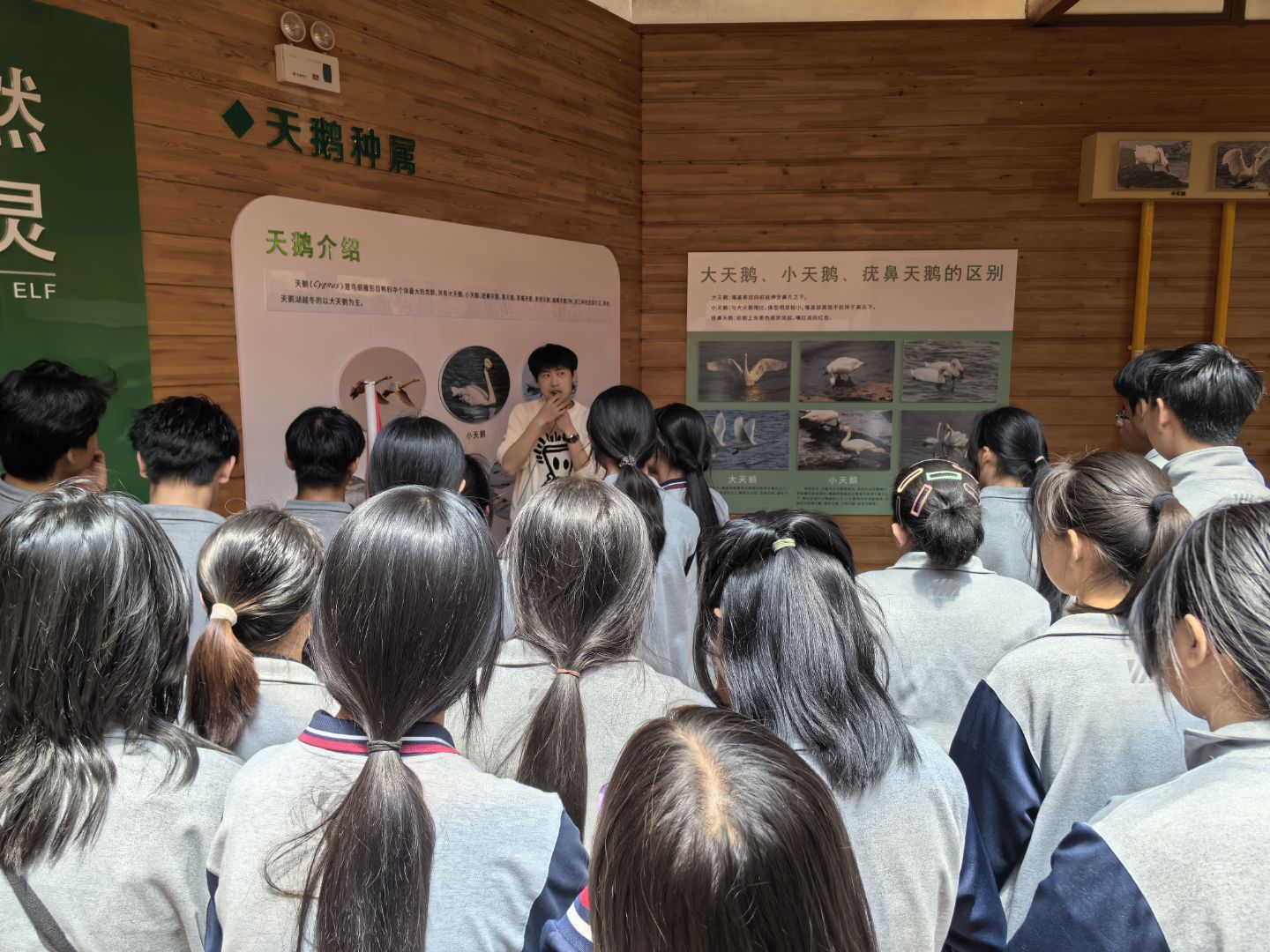 QQ图片20250427082409.png